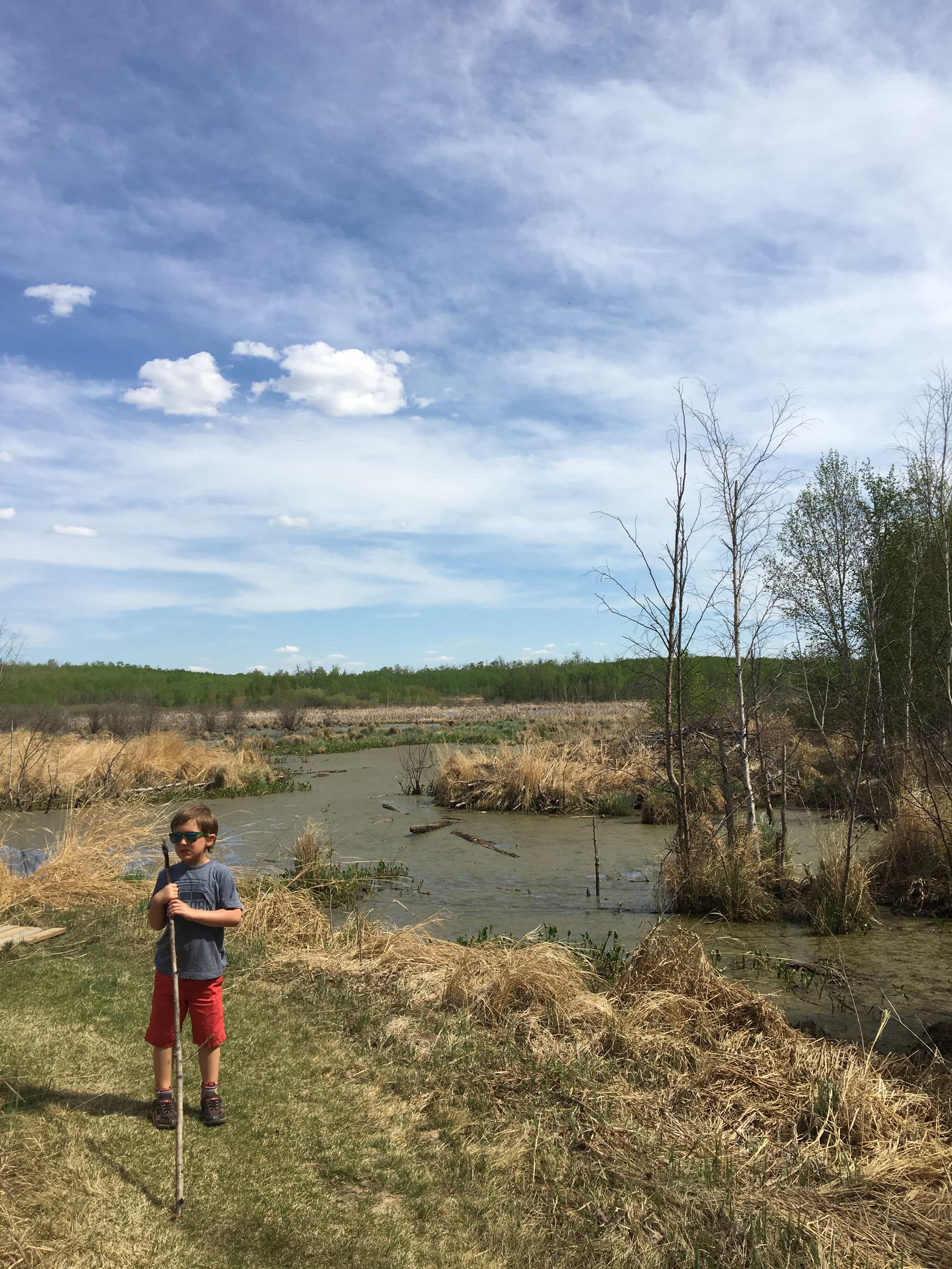 Young boy hanging out next to a boardwalk in Elk Island National Park