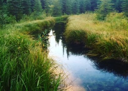 Switzer Provincial Park