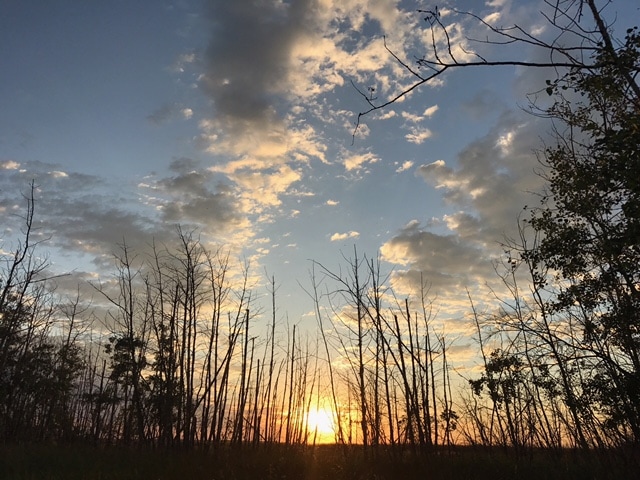 Camping at Buffalo Lake