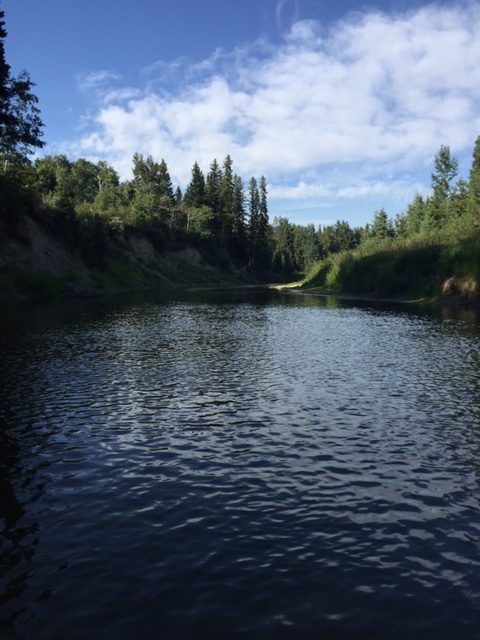 Camping at Red Lodge Provincial Park