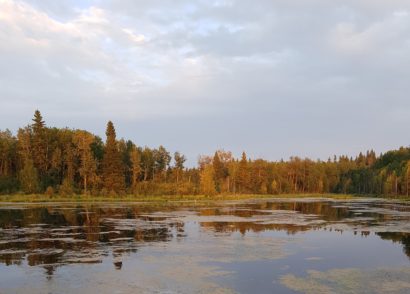Elk Island National Park