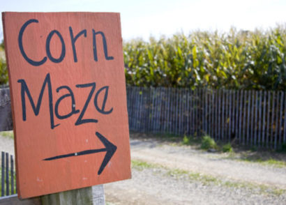 Corn mazes across Alberta
