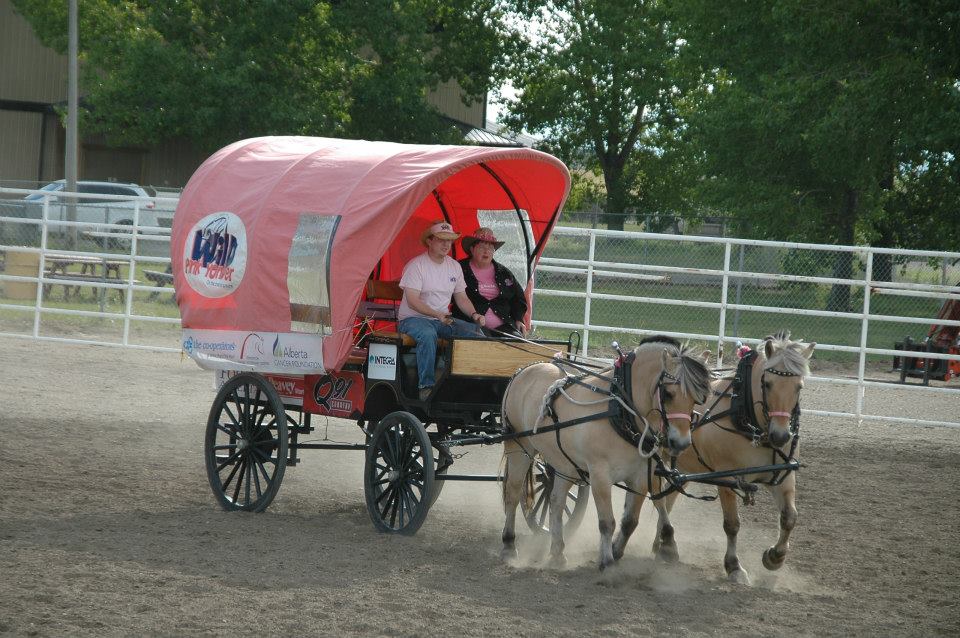 Wild Pink Yonder brings the Dog & Pony Show to Sherwood Park this weekend!