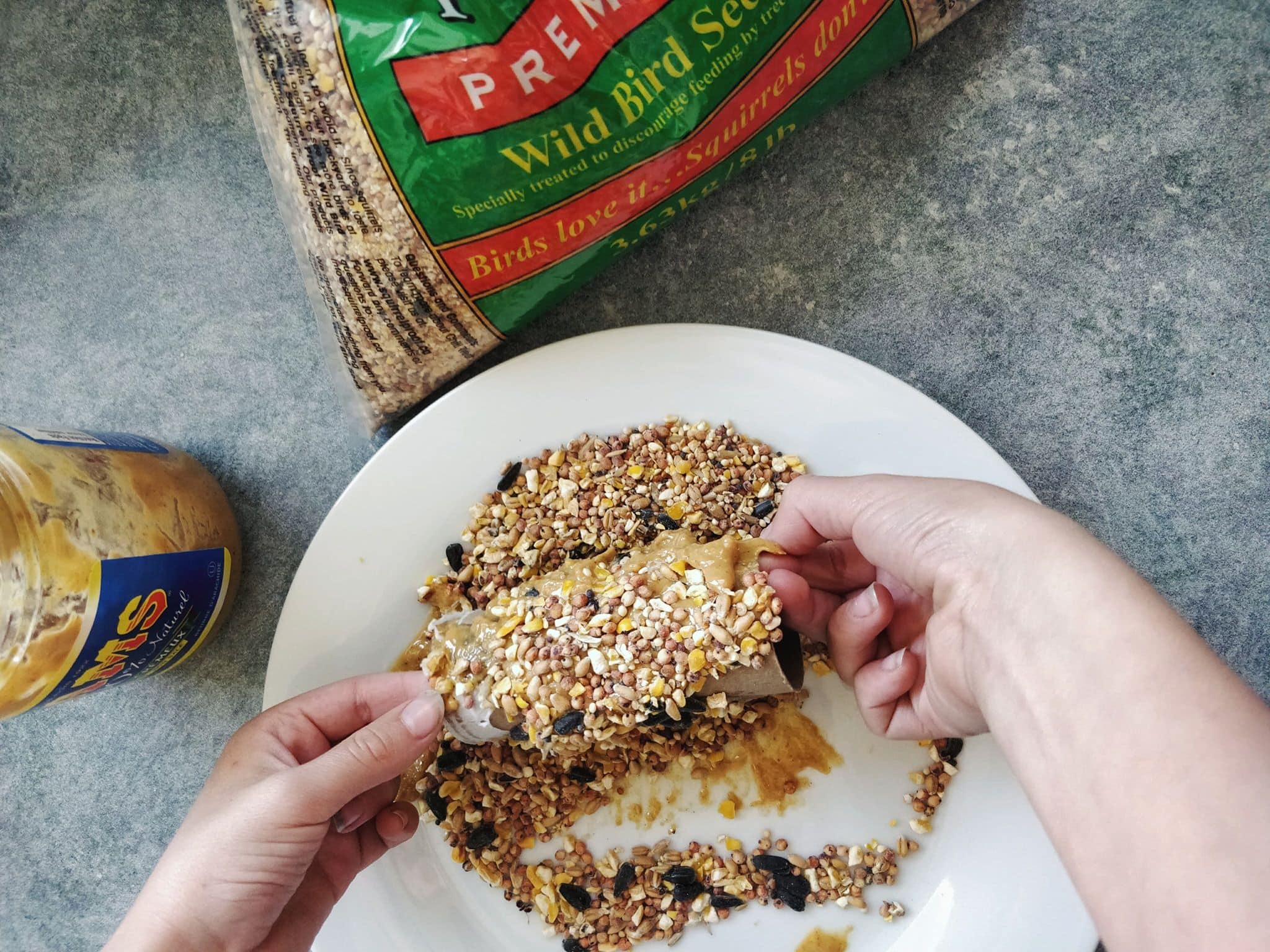 Rolling a seed and peanut butter covered toilet paper roll in bird seed