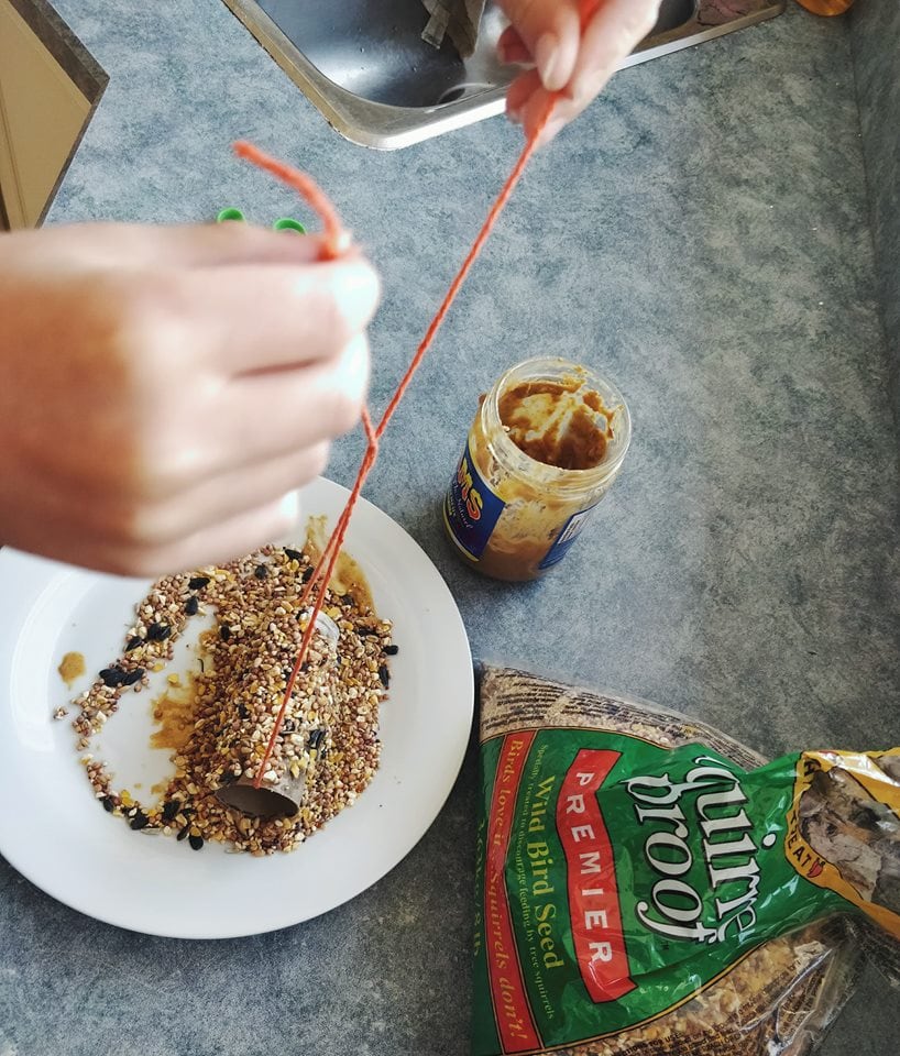 Tying yarn onto a DIY toilet paper roll bird feeder