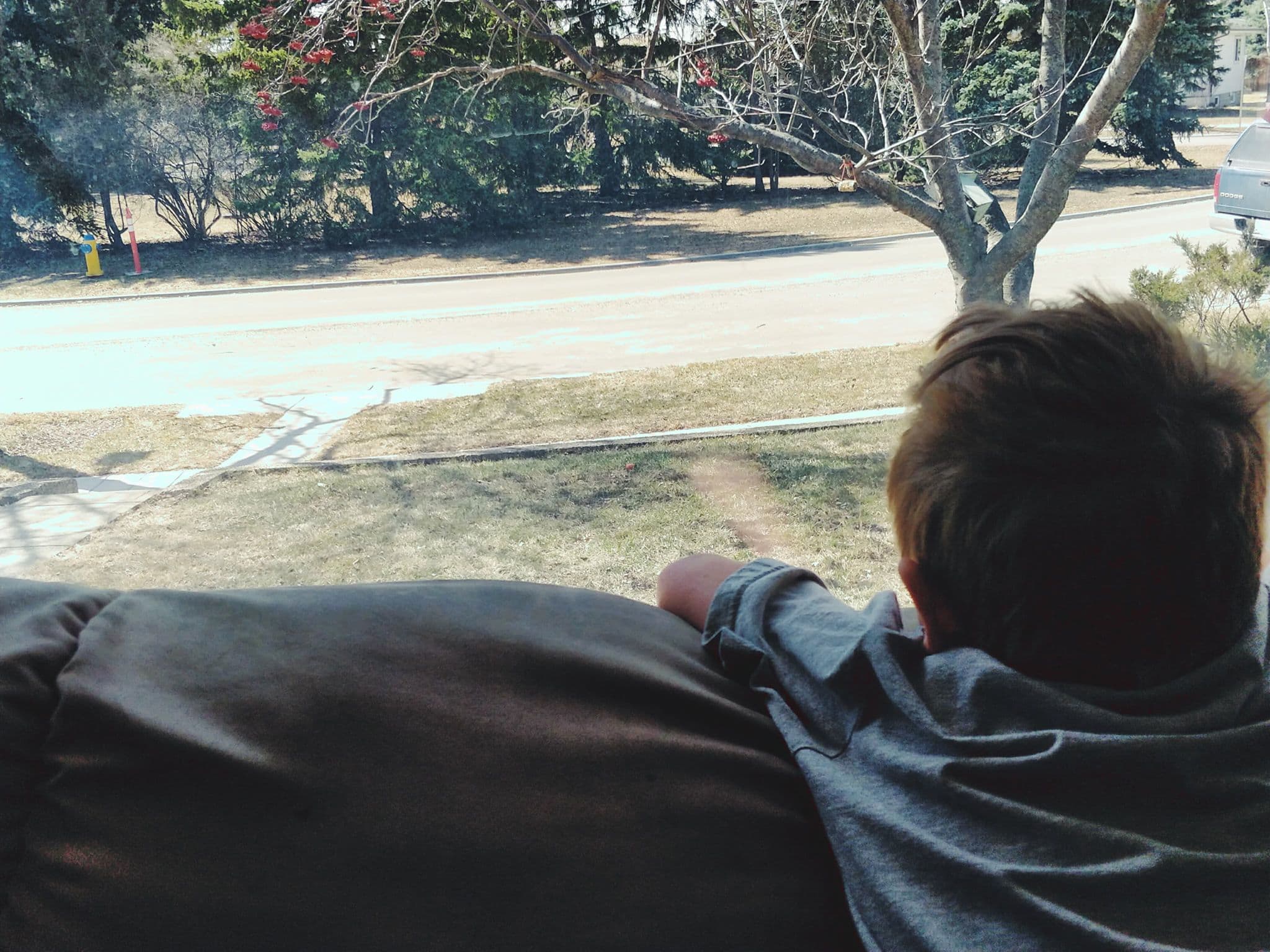Child looking out the window at his DIY bird feeder