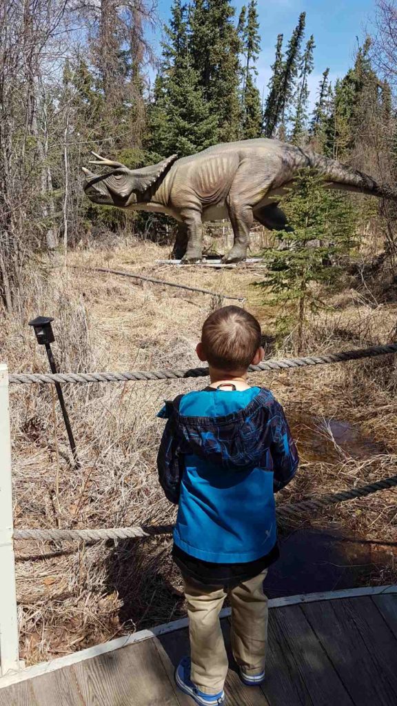 Triceratops in Jurassic Forest