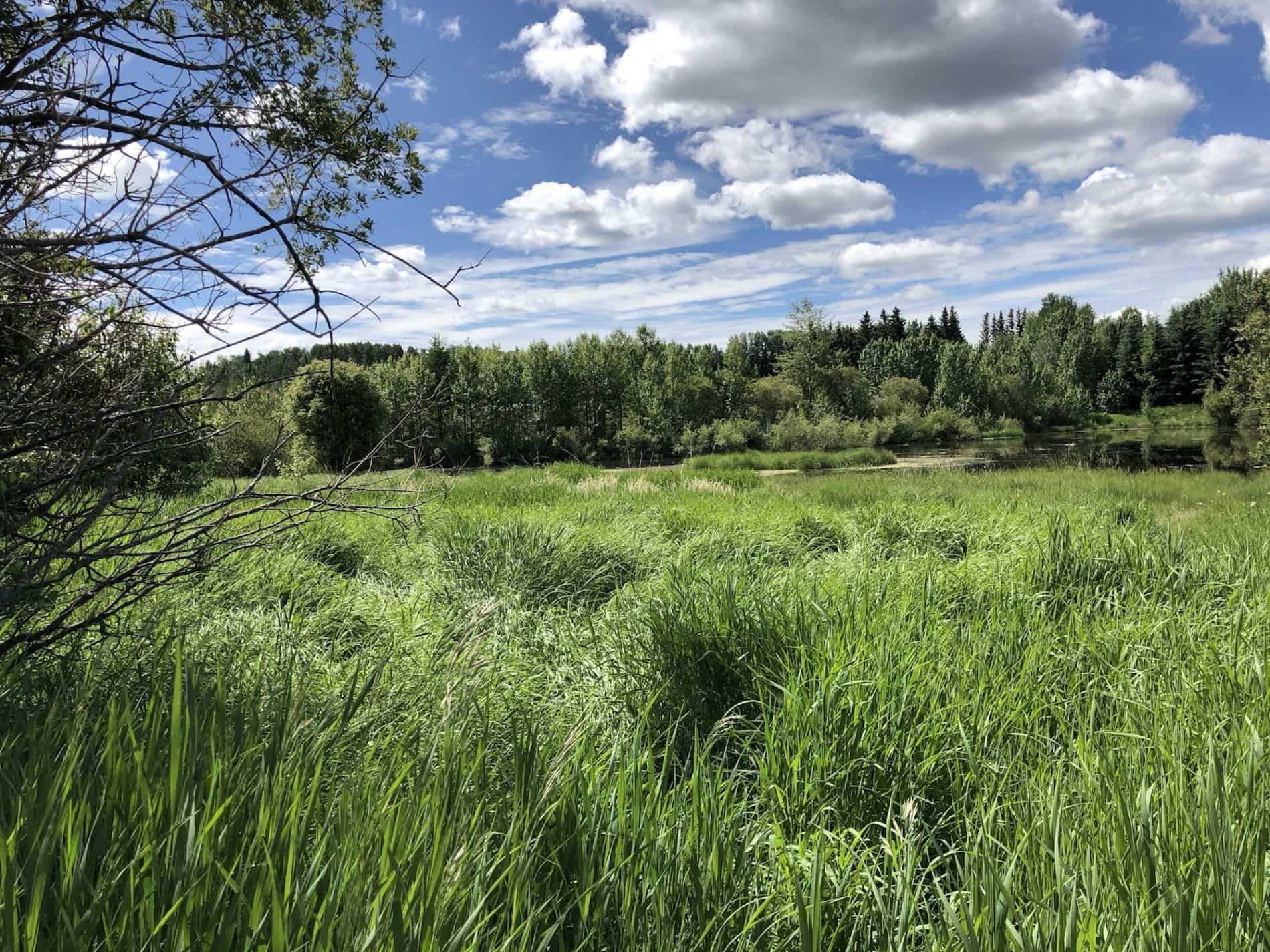 Fallen Timber Meadery Road Trip in The Ford EcoSport