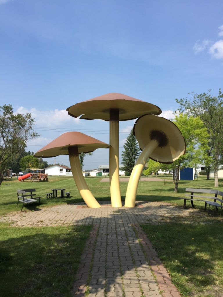 World's largest mushrooms in Vilna. You can see the playground and ice rink pad in the background.