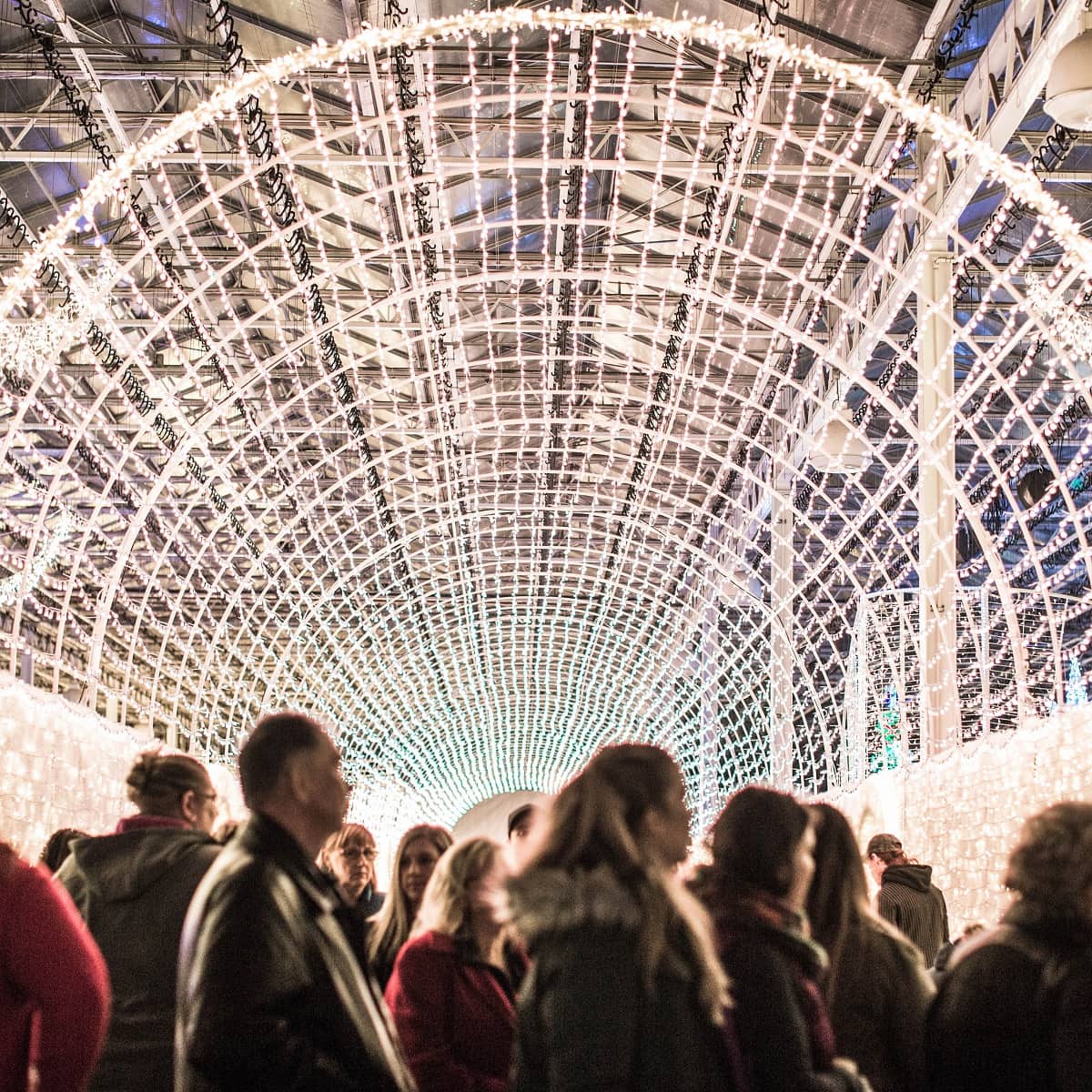 Christmas Glow Edmonton: An Indoor Light Show