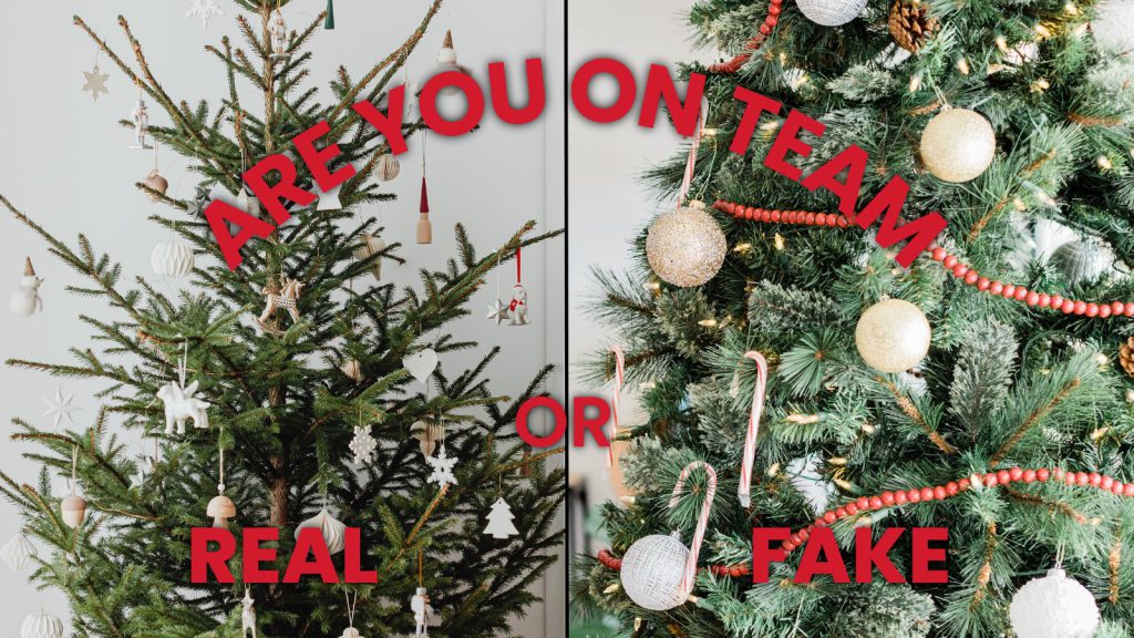 Are you on team real or fake Christmas tree?