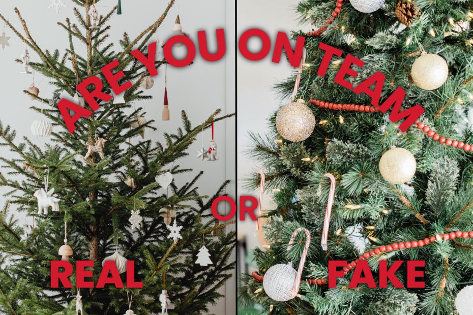Are you on team real or fake Christmas tree?