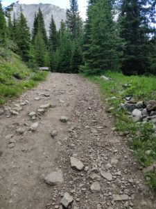 The trail