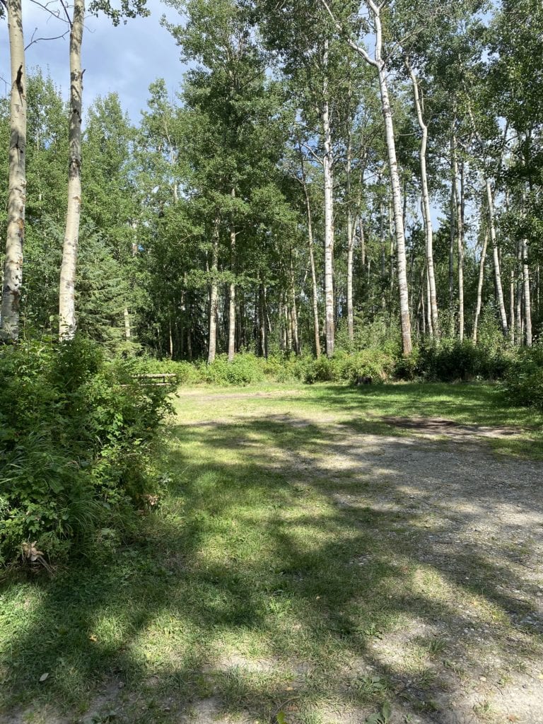 Campsite at Chip Lake