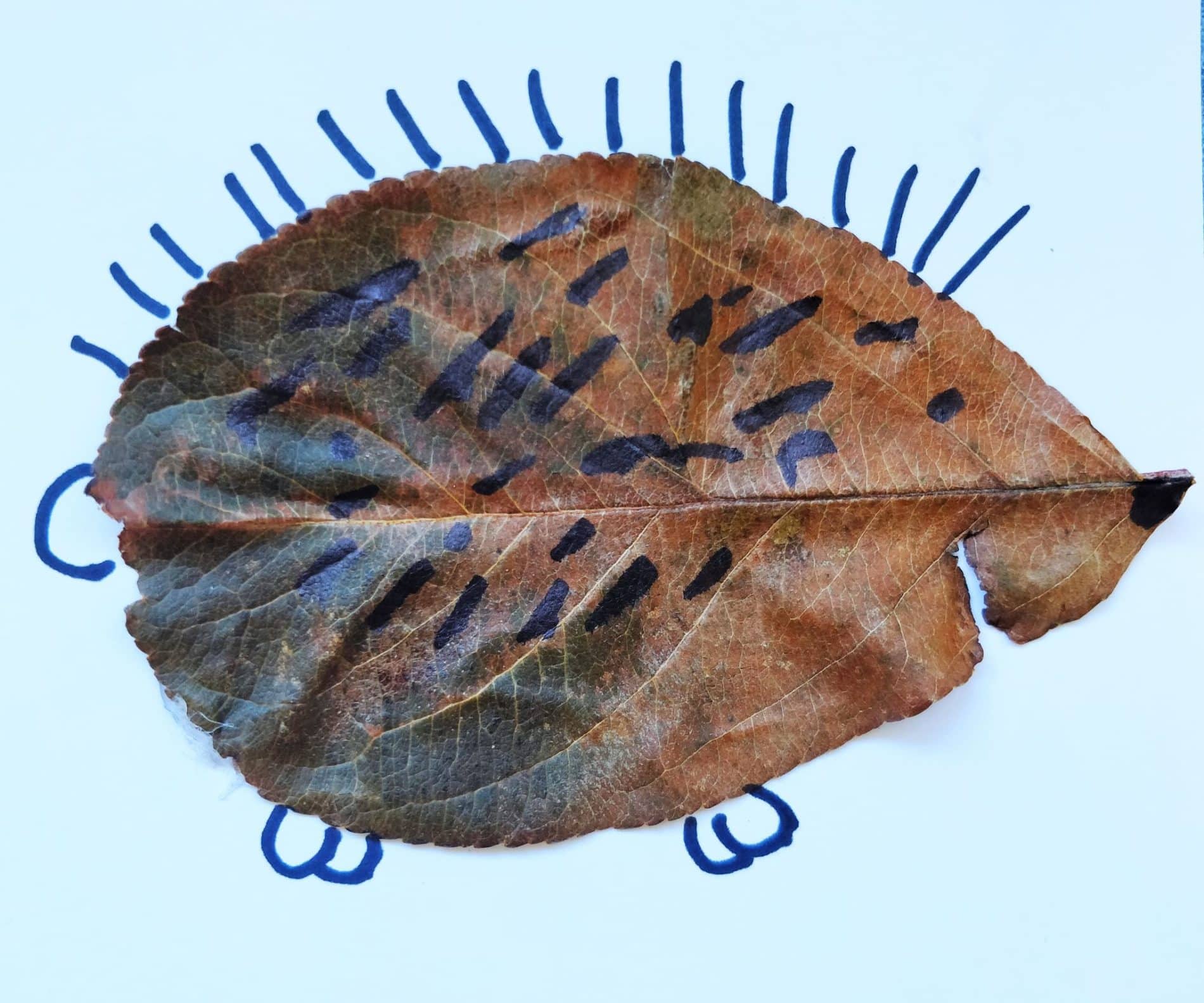 Leaf Art