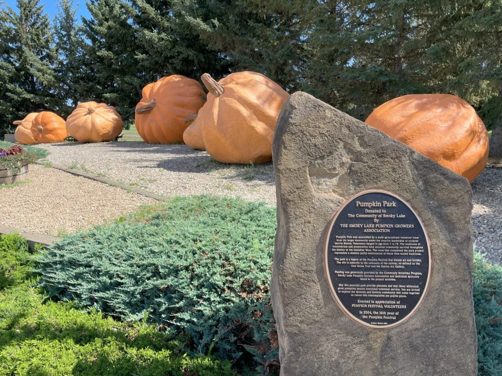 Giant pumpkins in the Smoky Lake pumpkin park with the dedication sign in front.