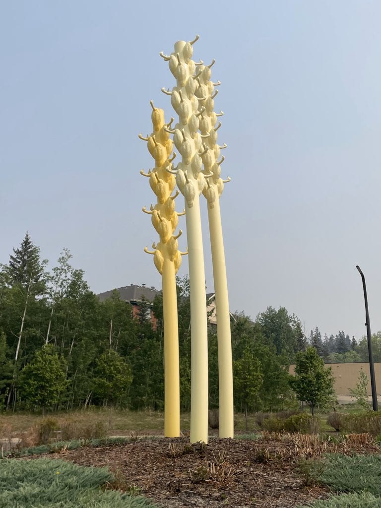 Artwork "Migration" in St Albert (geese on poles to resemble wheat)