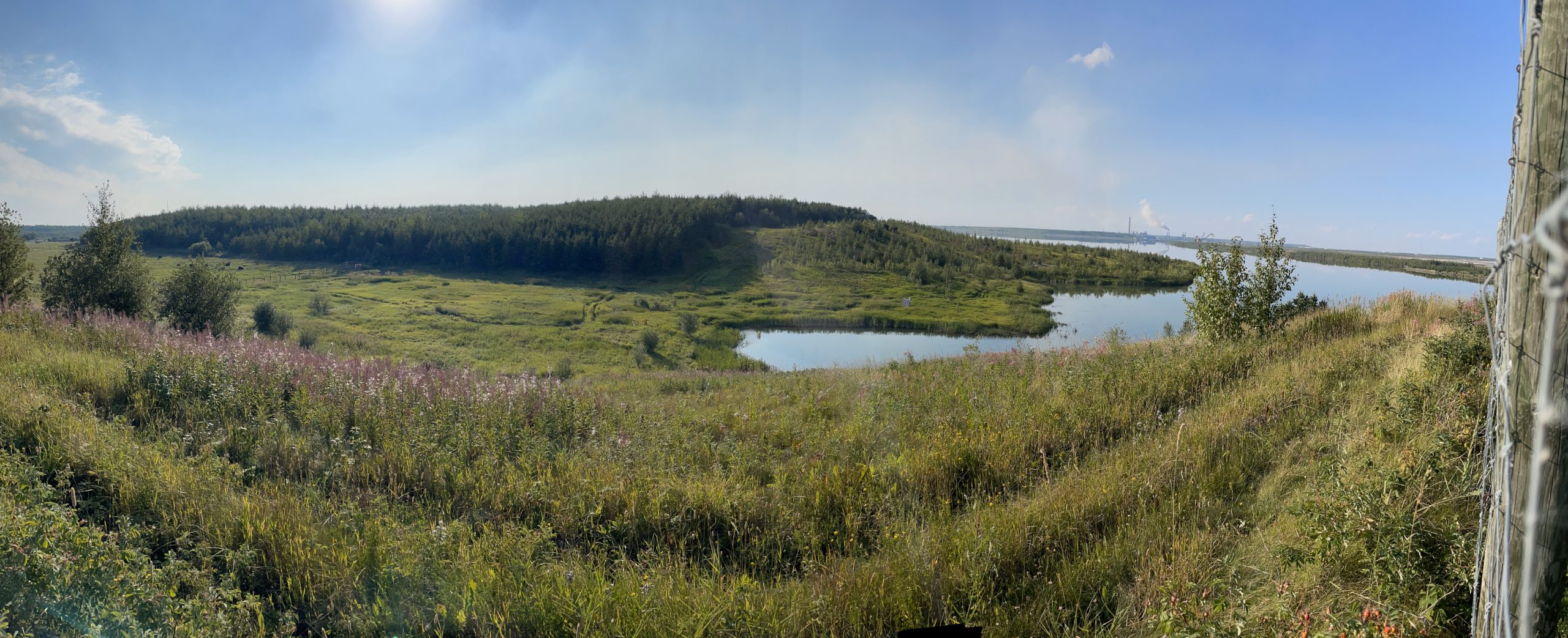 Bison Viewpoint land reclamation area