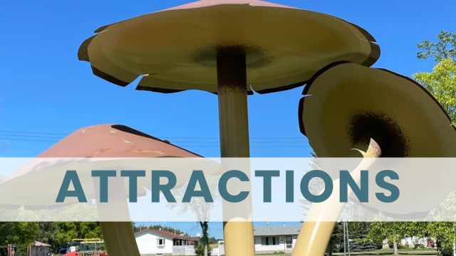 Attractions