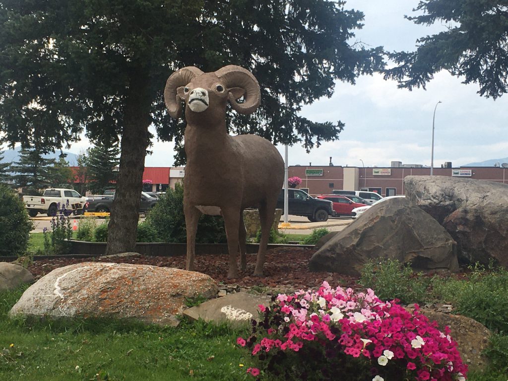 Rocky the Ram in Grande Cache