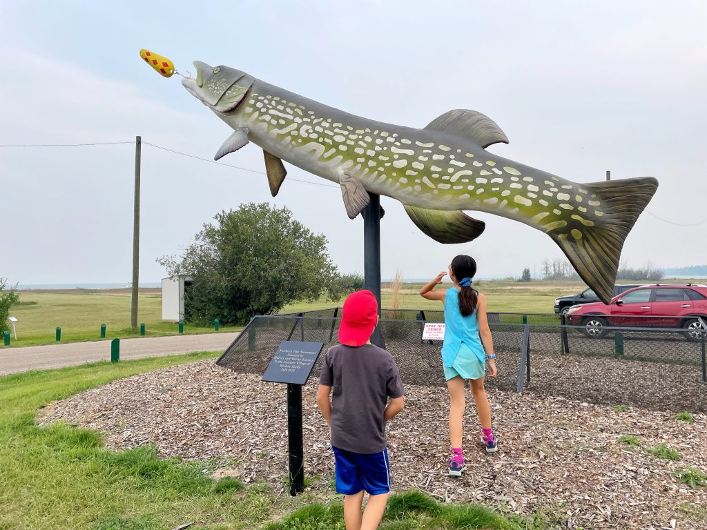 Alberta's largest Northern Pike in Rochon Sands