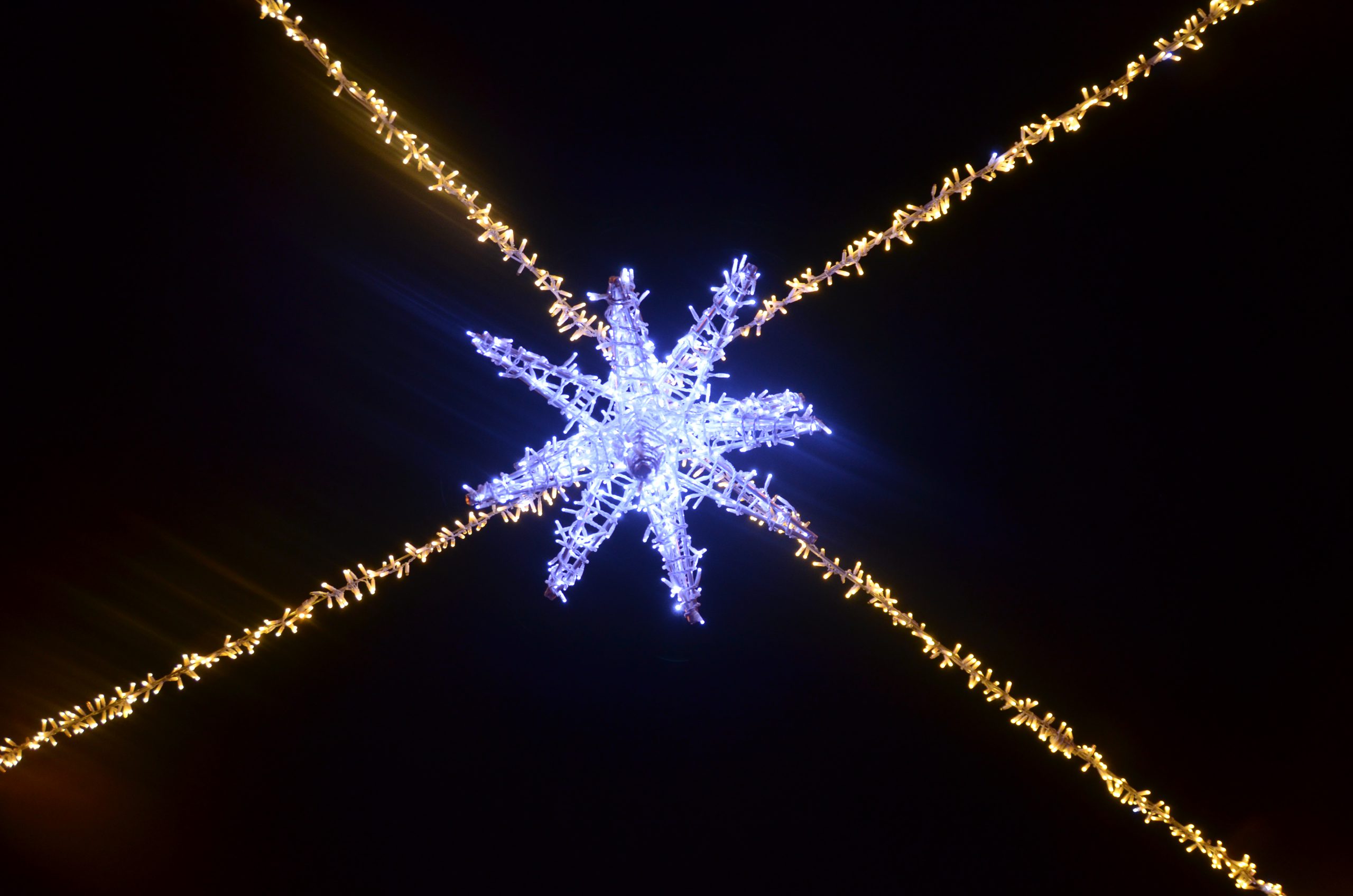 15+ Free Christmas Light Displays in Edmonton and Area