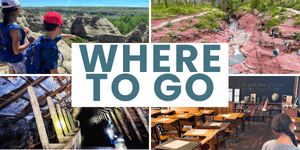 Where to Go