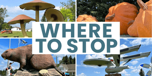 Where to Stop